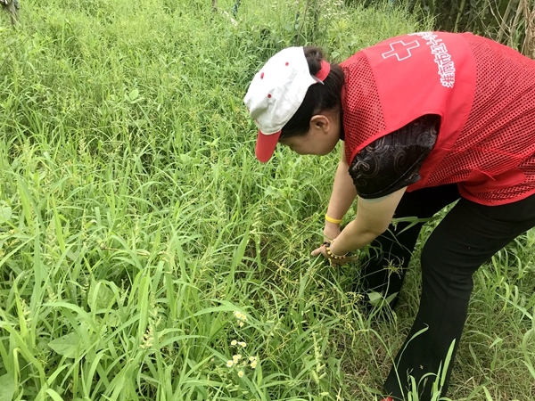 爱心粥爱心包爱心活送给您27