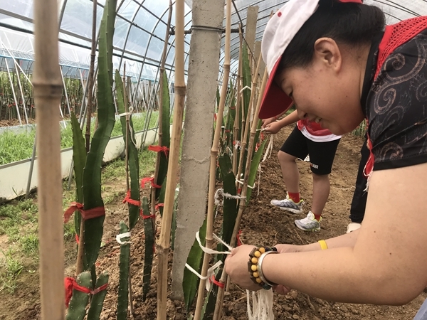 爱心粥爱心包爱心活送给您42