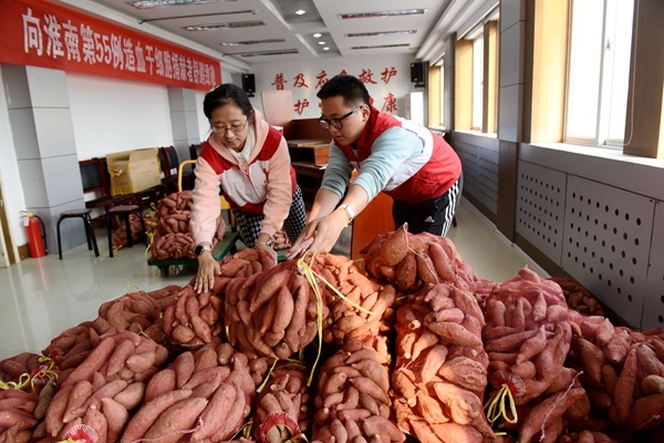 “淮小红”爱心蜜薯五年有约90