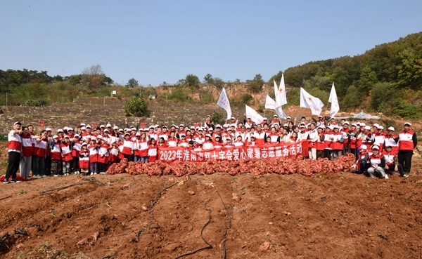 “淮小红”爱心蜜薯五年有约95