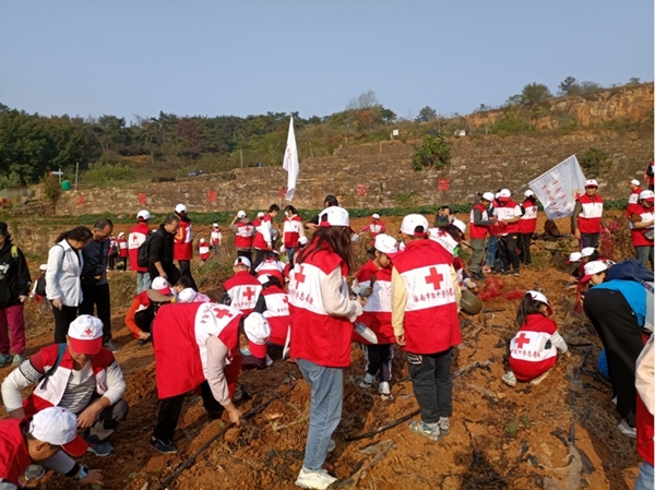 “淮小红”爱心蜜薯五年有约2