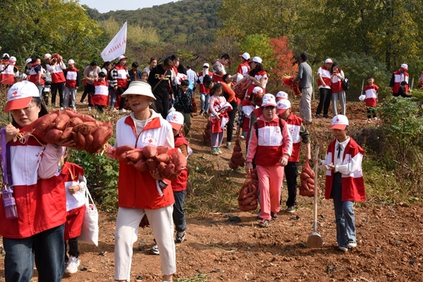 “淮小红”爱心蜜薯五年有约6