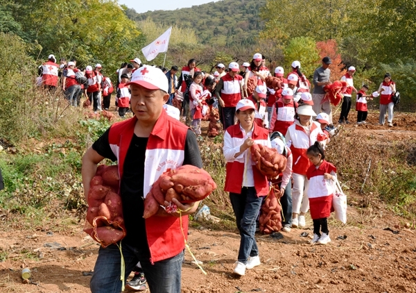 “淮小红”爱心蜜薯五年有约7