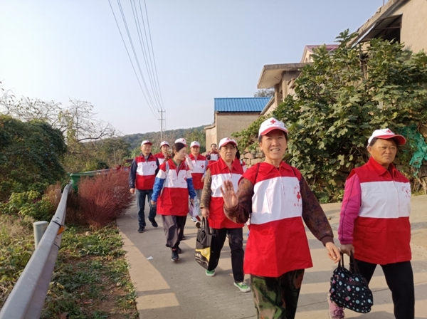 “淮小红”爱心蜜薯五年有约11