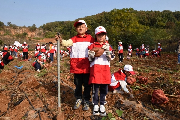 “淮小红”爱心蜜薯五年有约32