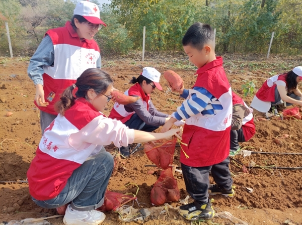 “淮小红”爱心蜜薯五年有约47