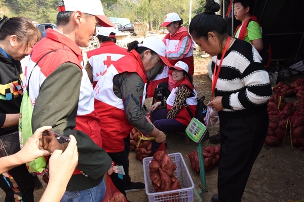 “淮小红”爱心蜜薯五年有约83