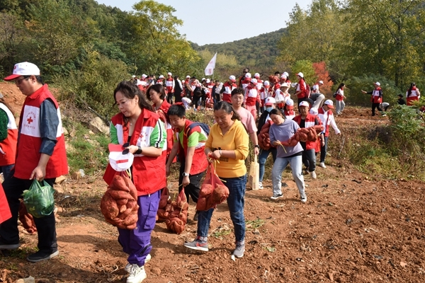 “淮小红”爱心蜜薯五年有约73