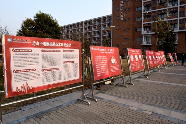 爱满安理6