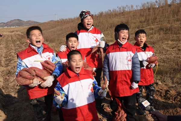 “淮小红”“爱心蜜薯”再掀热潮17