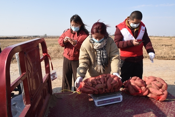 “淮小红”“爱心蜜薯”再掀热潮23