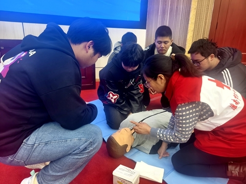 IMG_20251120_160531_1