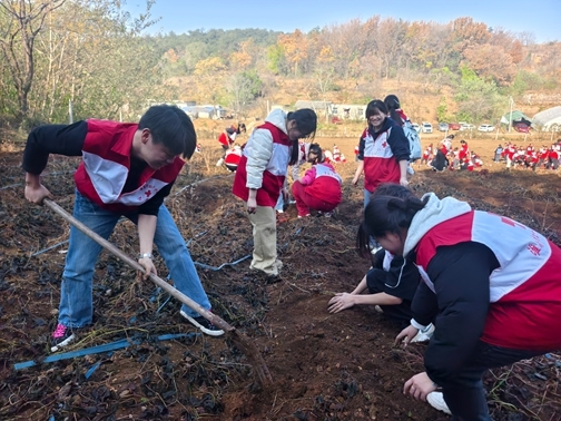 4-IMG_20251122_095038