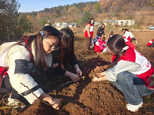 IMG_20251122_093044_1