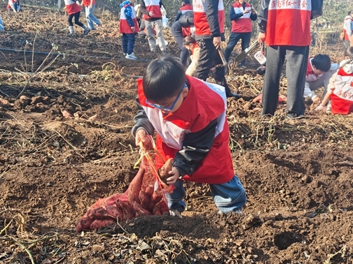 IMG20251122094437_01