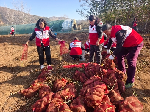 6-IMG_20251122_094305