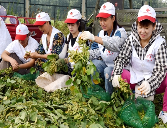 你奉献奋不顾身 我帮你毫不迟疑1