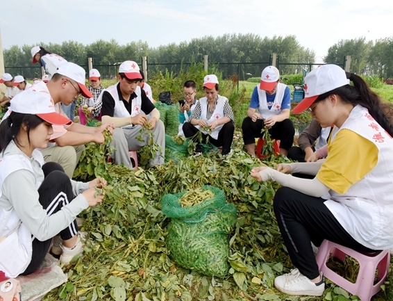 你奉献奋不顾身 我帮你毫不迟疑10