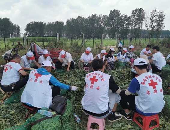 你奉献奋不顾身 我帮你毫不迟疑12