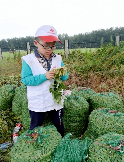 你奉献奋不顾身 我帮你毫不迟疑13