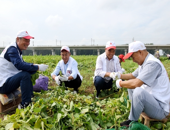你奉献奋不顾身 我帮你毫不迟疑15