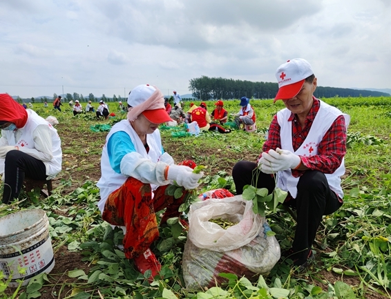 你奉献奋不顾身 我帮你毫不迟疑17