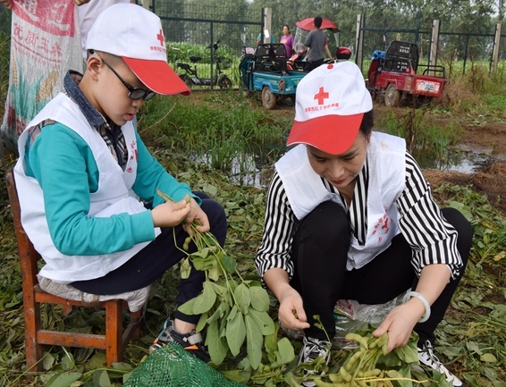 你奉献奋不顾身 我帮你毫不迟疑3