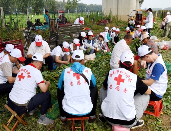 你奉献奋不顾身 我帮你毫不迟疑4