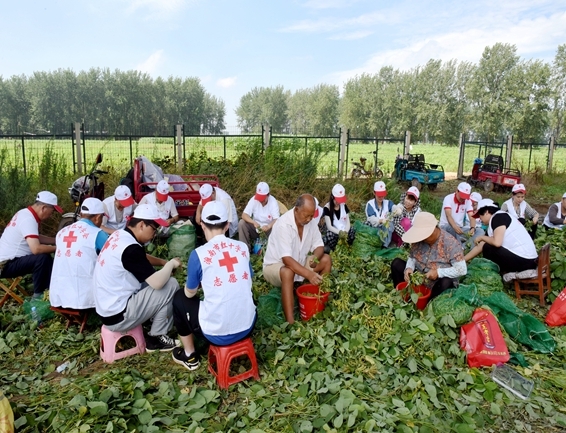 你奉献奋不顾身 我帮你毫不迟疑5