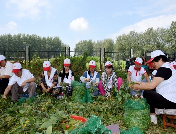 你奉献奋不顾身 我帮你毫不迟疑7