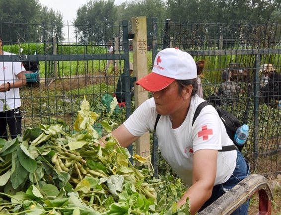 你奉献奋不顾身 我帮你毫不迟疑8