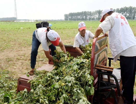 你奉献奋不顾身 我帮你毫不迟疑9