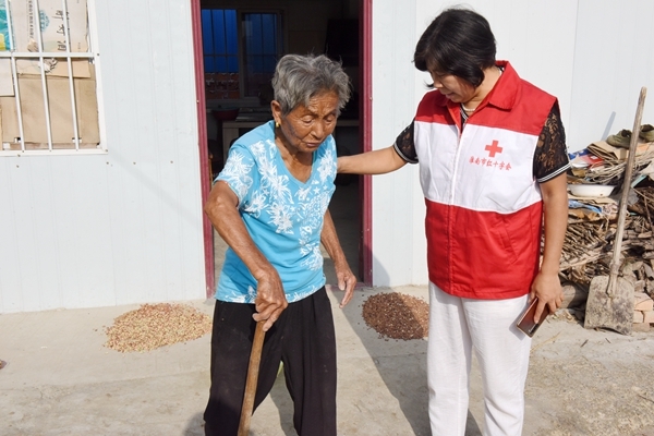 淮南市红十字会支持帮扶村产业发展1