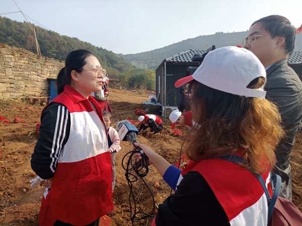 爱心蜜薯比蜜甜55