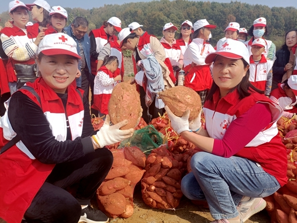 爱心蜜薯比蜜甜56