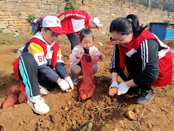 爱心蜜薯比蜜甜17