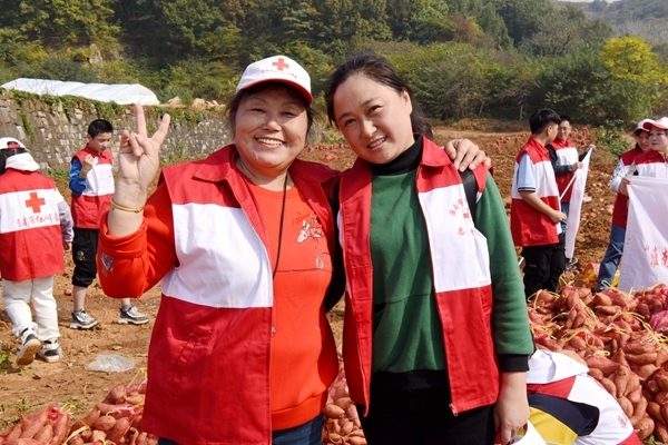 爱心蜜薯比蜜甜57