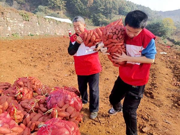 爱心蜜薯比蜜甜33