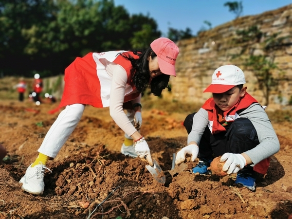 爱心蜜薯比蜜甜41