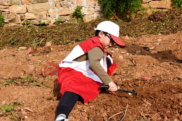 爱心蜜薯比蜜甜44