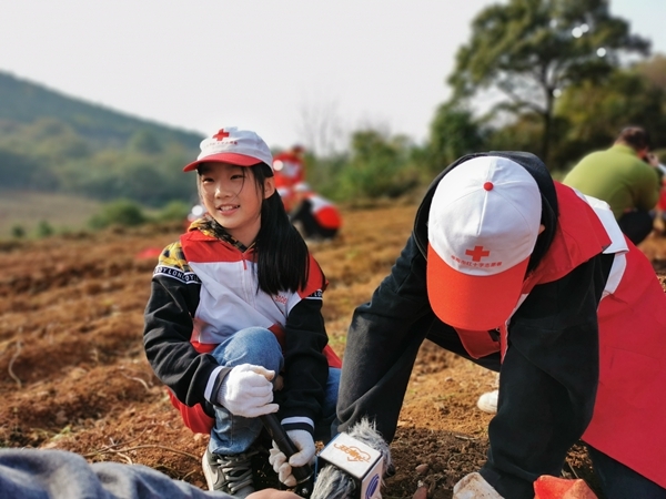 爱心蜜薯比蜜甜46