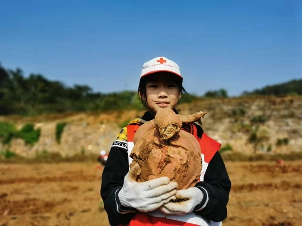 爱心蜜薯比蜜甜47