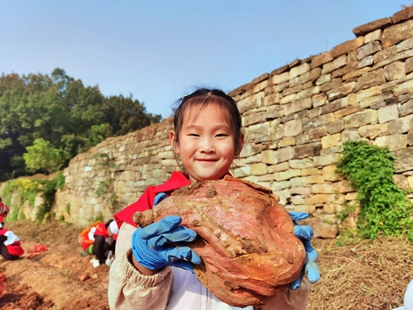 爱心蜜薯比蜜甜51