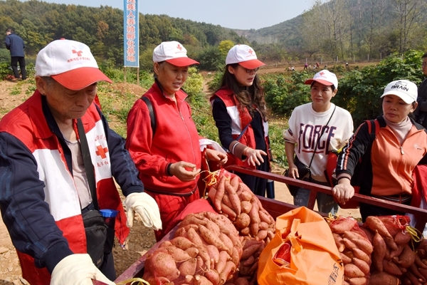 爱心蜜薯比蜜甜53