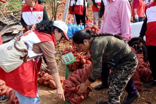 爱心蜜薯比蜜甜54