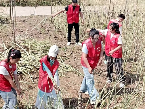 小志愿者把儿童节过成劳动节、爱心节