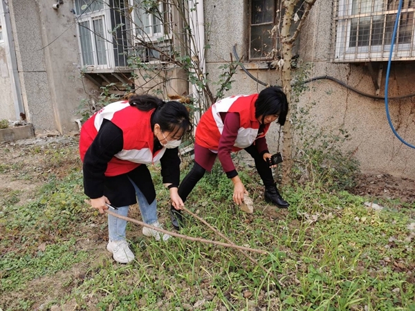 淮南市红十字会总动员加大帮扶社区环境清理整治力度19