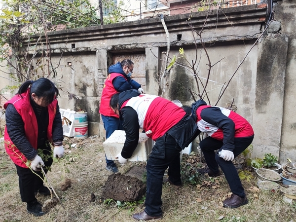淮南市红十字会总动员加大帮扶社区环境清理整治力度8
