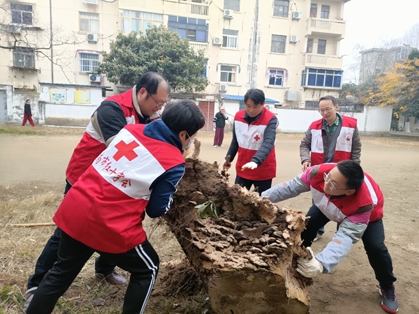 淮南市红十字志愿者积极主动助力创城1