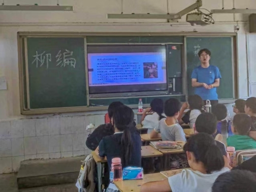 柳编科普课